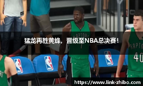 猛龙再胜黄蜂，晋级至NBA总决赛！